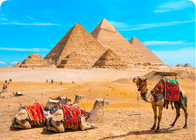 Middle East & Africa